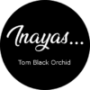 Tom Black Orchid