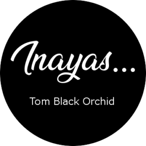 Tom Black Orchid